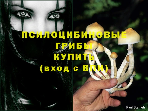 хмурый Алзамай