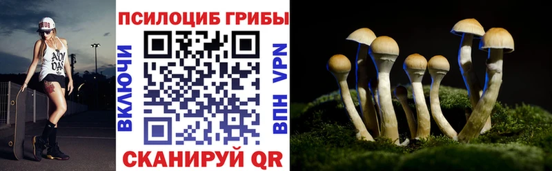 Псилоцибиновые грибы MAGIC MUSHROOMS купить Кремёнки