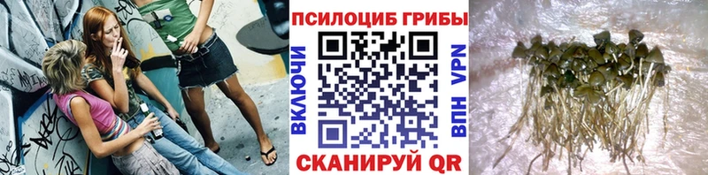 Галлюциногенные грибы мухоморы Кремёнки